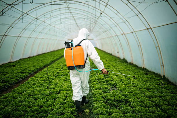 Best Affordable Pest Control Services  in Umatilla, OR