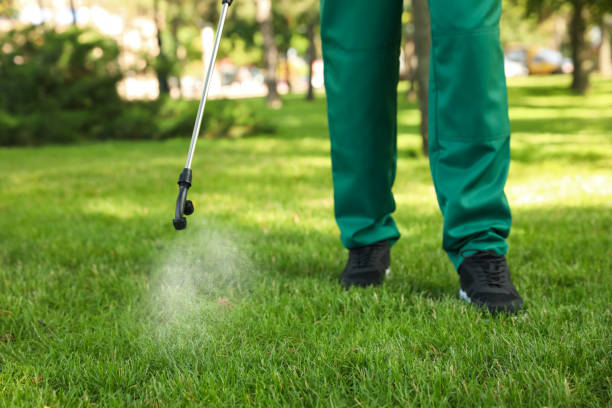 Professional Pest Control in Umatilla, OR
