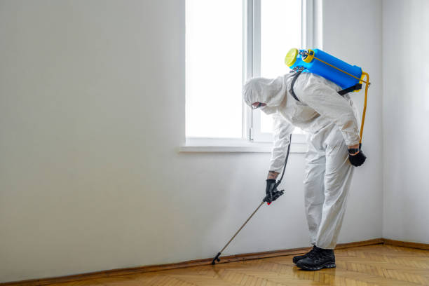 Best Flea Control Services  in Umatilla, OR
