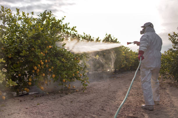 Best Ant Control Services  in Umatilla, OR
