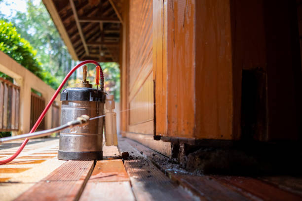 Best Local Pest Control Services  in Umatilla, OR