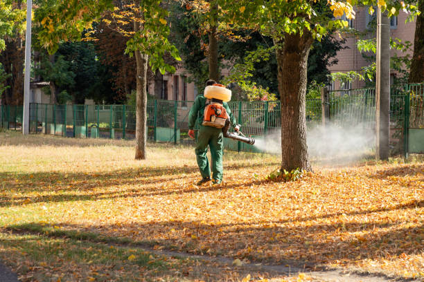 Best Pest Control Near Me  in Umatilla, OR