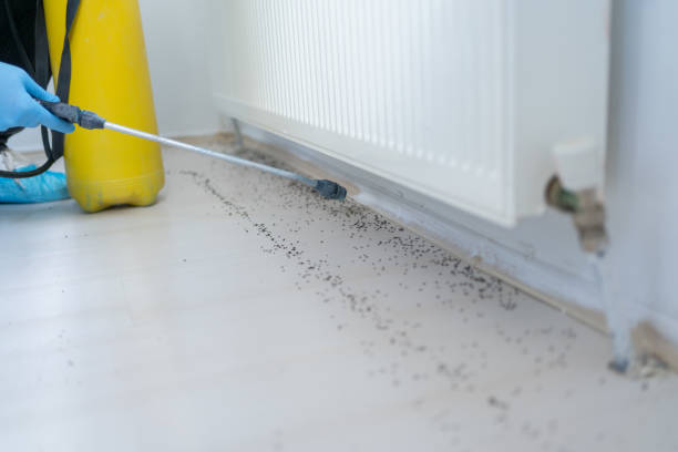 Best Residential Pest Control  in Umatilla, OR
