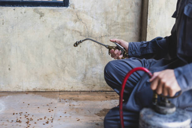 Best Best Pest Control Companies  in Umatilla, OR